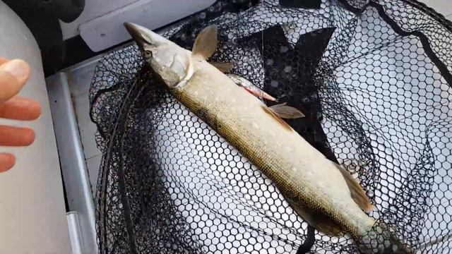 Без улова не остался смотреть онлайн