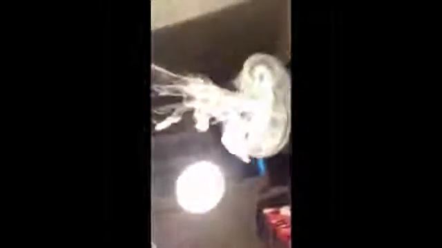 Как сделать водопад из дыма