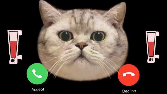 ?APPLE  RINGTONE IPHONE Pro  pro iphone cat EP.33