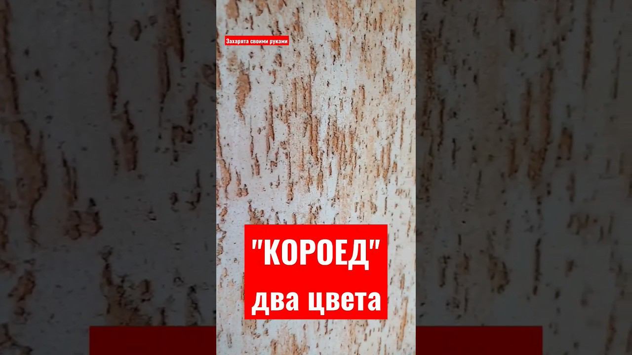 Штукатурка короед в два цвета