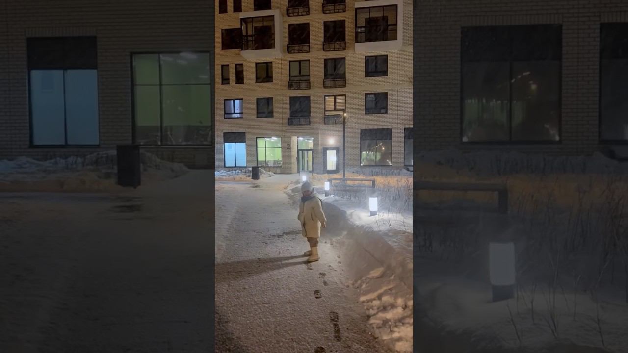 Снегопад #снег #многоснега #вьюга #зима2024 #зимавподмосковье