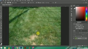 How to remove Patches From Grass in Photoshop and make it Perfect | Enhancement