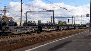 Грузовой и пассажирский поезда на станции Михнево.