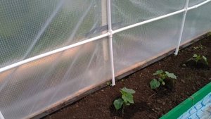 Теплица. Ошибки приклейки пленки и пайки пластиковых труб. Как не надо клеить плёнку.