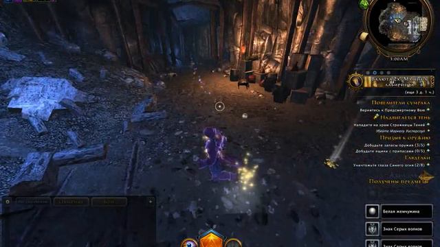 Neverwinter Online. Храм Стражницы Теней. Волшебник (арканист)
