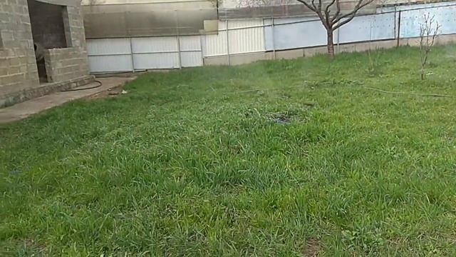 НАМ НЕКОГДА УНЫВАТЬ!!!Сажаем,копаем,поливаем!!!Дела житейские..mp4 смотреть онлайн