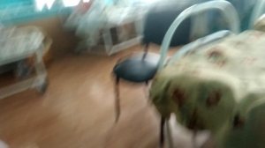 Олег супер насрал в постель