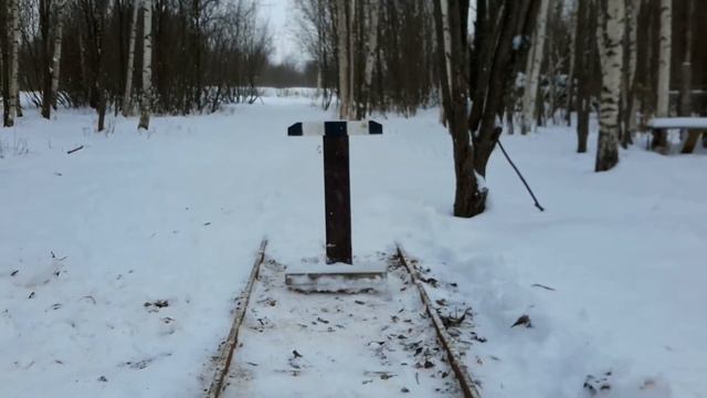 Предновогодняя пора на ПЗЖД смотреть онлайн