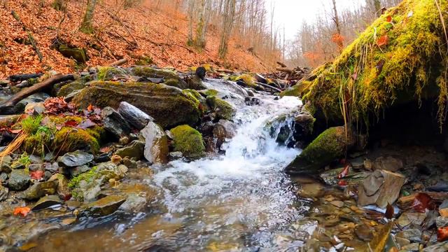 ИСТОРИЯ О ДВОЙНОЙ ИЗМЕНЕ! смотреть онлайн