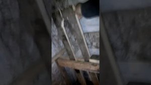 Станок для дойки коз. Своими руками