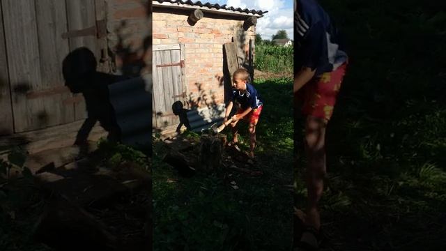 Заготовка дров на зиму. Юный дровосек ) смотреть онлайн