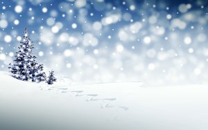 12.12.23 Прогулка зимой