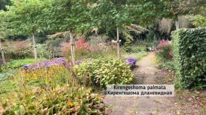 Часть 2 🌿 Ландшафтный дизайн в Голландии 🌿 Garden Mien Ruys 🌿 Схемы и названия растений🌿