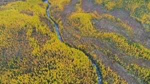 РЕКА СОРУГ 1 | РЕСПУБЛИКА ТЫВА | РЕКИ ТУВЫ | РЕКИ СИБИРИ | TUVA EXTREME