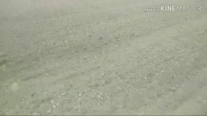 Подготовка поля к посеву. Посев люцерны , регулировка нормы высева сеялки Hassia 2500. МТЗ 82.1