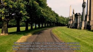 Устройство крематория: полная огня печь