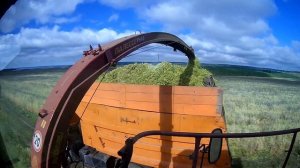 Косьба гороха на сенаж.