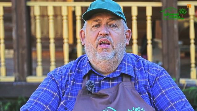 Лучшие сорта яблонь, какой сорт яблонь лучше посадить? смотреть онлайн