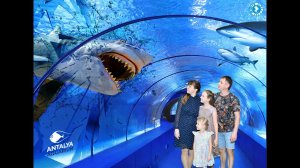 Обзорчик того, как мы сходили в Antalya Aquarium, или океанариум в Анталии, Турция