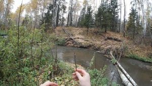 Рыбалка с рогаткой | Мое мнение про граненые дротики для рогатки #48