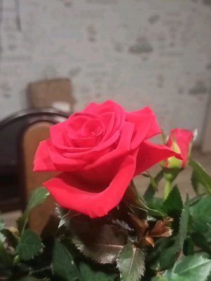 работа не волк