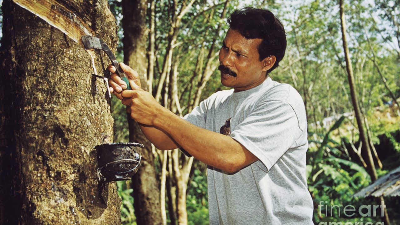 Удивительное производство высококачественных матрасов из латекса: узнайте, как это делается смотреть онлайн