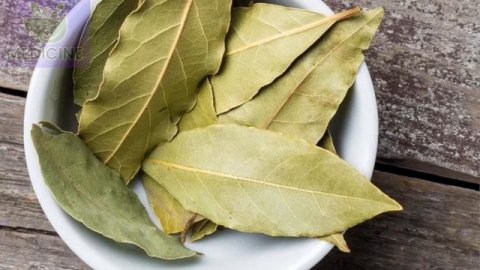 ВОТ ЧТО ТВОРИТ ЛАВРОВЫЙ ЛИСТ! Польза и Вред Лаврового Листа!