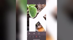 Видео урок Надпись на фото сделать в телефоне.