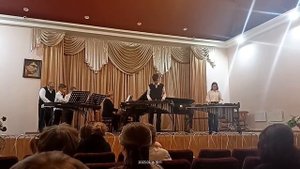 13134299_456239589.mp4