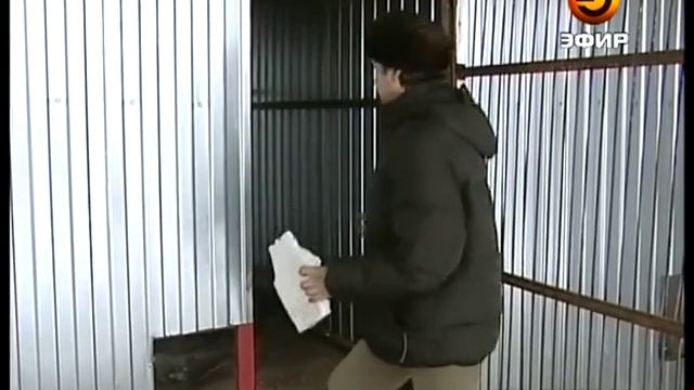 Строительство питомника для собак может затянуться смотреть онлайн