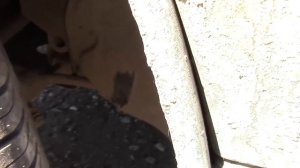 Диски 14 на ВАЗ Какие диски лучше 14 или 15