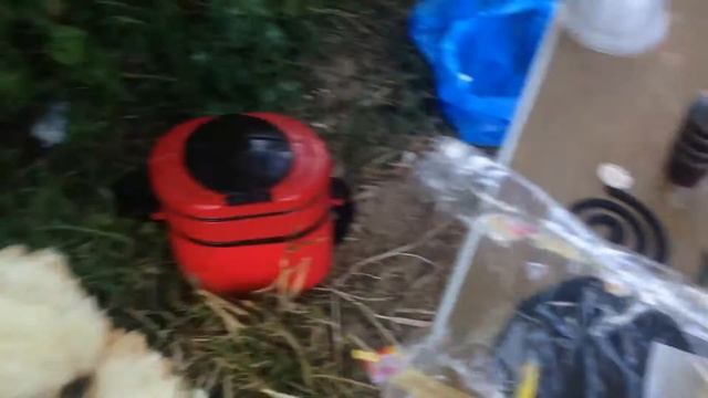 Утята дикие,но ручные смотреть онлайн