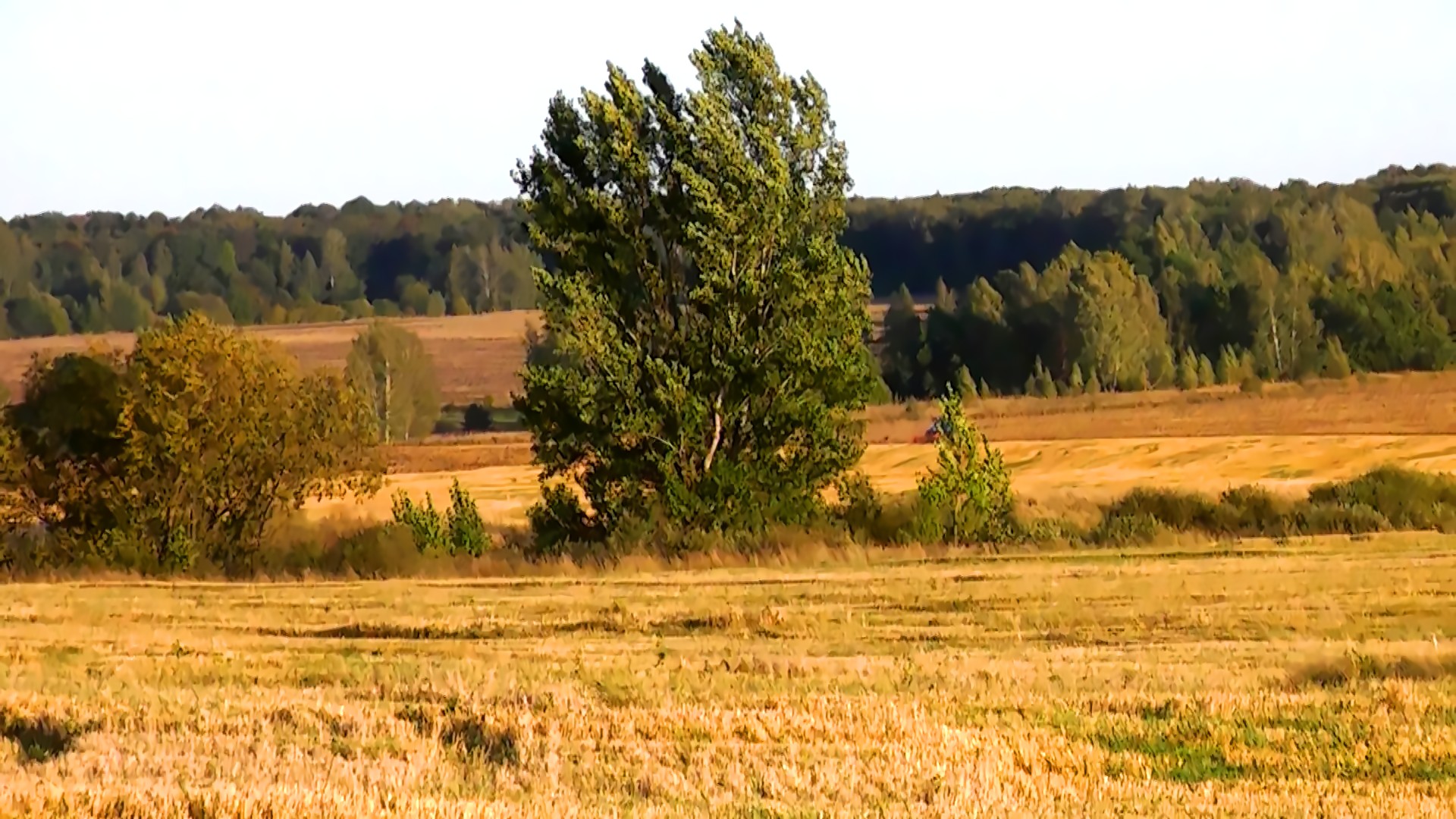 Бабье лето.mp4 смотреть онлайн