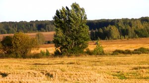 Бабье лето.mp4