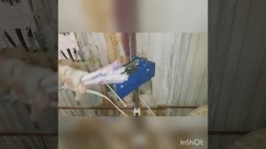 Как быстро очистить кабель от изоляции.