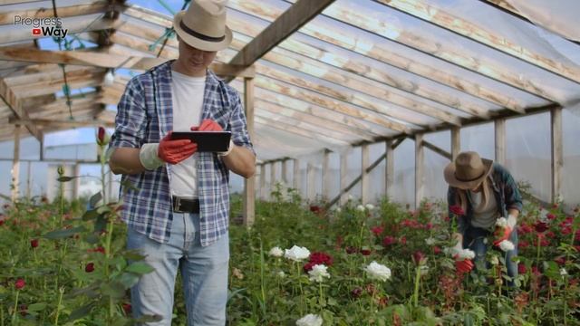 Капля Этого И Сорняков В Огороде Больше Не Будет Не Химия! смотреть онлайн