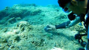 Дайвинг/ погружение/ античные артефакты