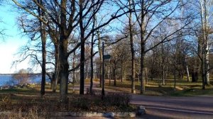 Сестрорецк - Финский залив, пляж, парк Дубки | Курорты Питера, ноябрь 2020
