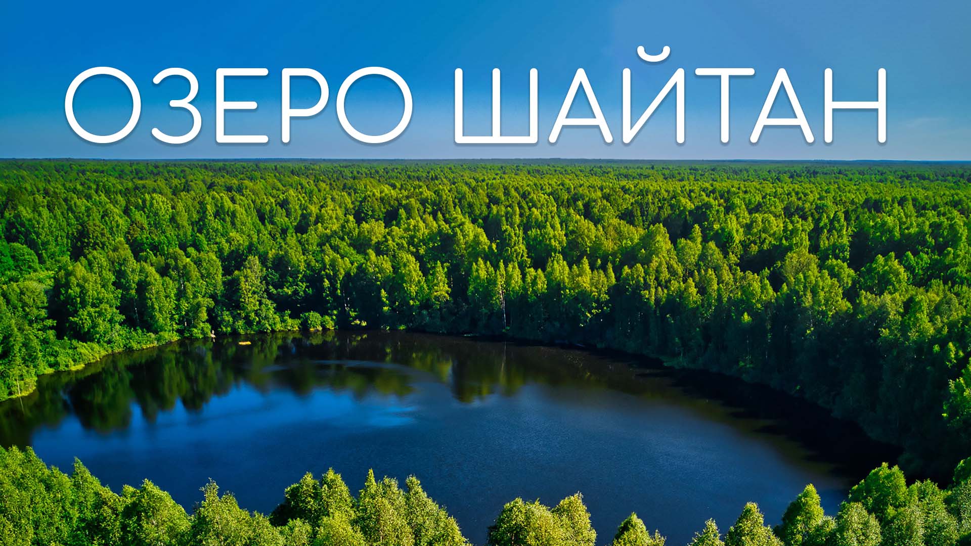 Бушковский лес Кировской области