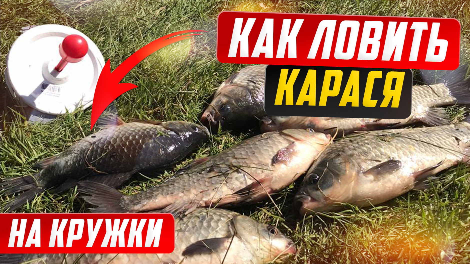 Ловля карася на кружки. Как поймать карася на кружки. Ловля на макуху. смотреть онлайн