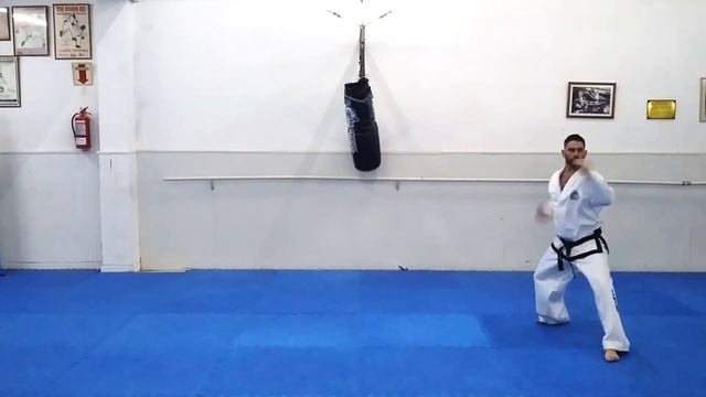 Joong Gun / Tul / Patterns / Formas / Taekwondo ITF/ 4 Gup смотреть онлайн