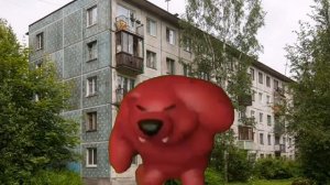 Медведь флексит на фоне пяти этажного дома под флексовую песню (смотреть онлайн без регистрации)