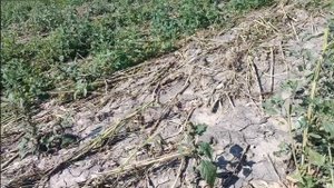 Поиск в поле c Xp Orx и Панское озеро