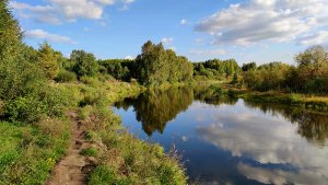 Челябинск  Осень русский лес белые березы природа, местоположение Монахи. 13.09.2023г.