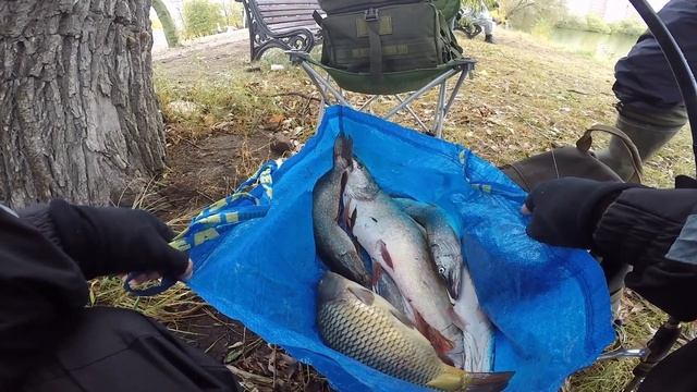 РЫБАЛКА НА ЩУКУ. 20 КГ ОБЩЕЙ РЕЗУЛЬТАТ! Белая дача. #NEKFiSh#рыбалка #щука смотреть онлайн