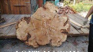 Стол из капового тополя