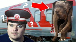 Что можно увидеть в ПОЕЗДАХ России и странах снг?