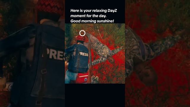 Have an amazing day you beautiful DayZ peeps 🌻 #dayz #gaming #xbox #console #consolecult #smiley