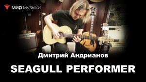 Дмитрий Андрианов - Seagull Performer