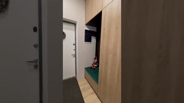 Прихожая. Корпус и фасады Egger.  Фурнитура  Blum